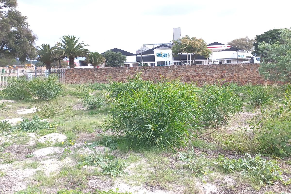 A vacant residential plot featuring natural vegetation, enclosed by a stone boundary wall and chain link fencing.