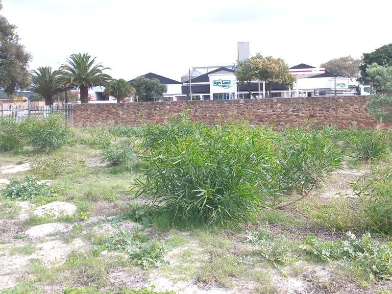 Commercially zoned vacant stand ’ - Photo 4