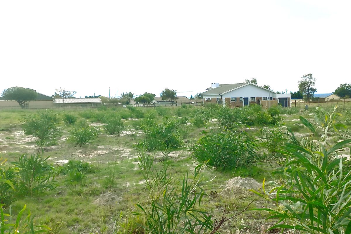A vacant residential plot of land featuring natural vegetation and perimeter fencing, offering a blank canvas for future development.