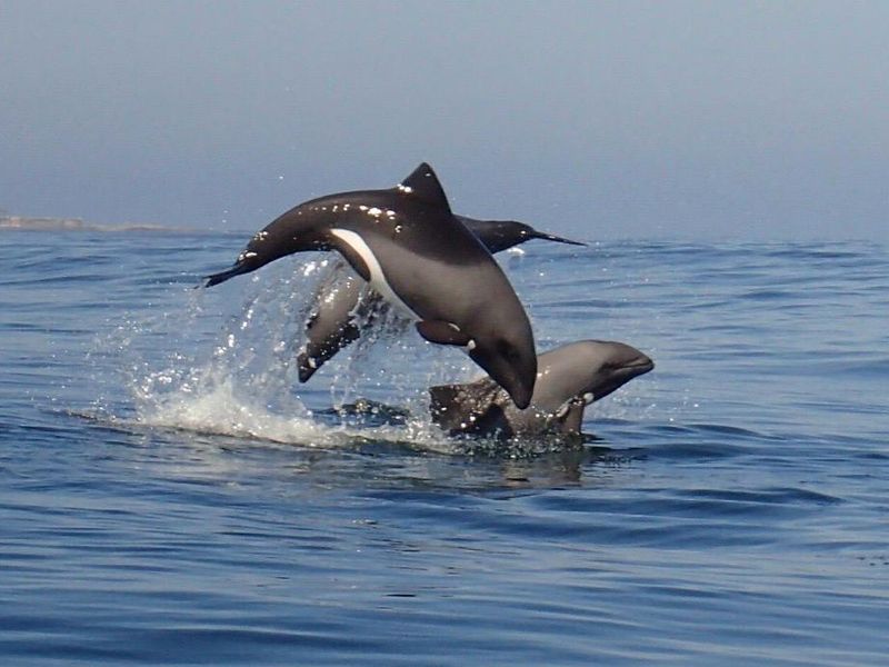 Ocean View Stand – Build Your Dream Holiday, Income, or Forever Home - Photo 9