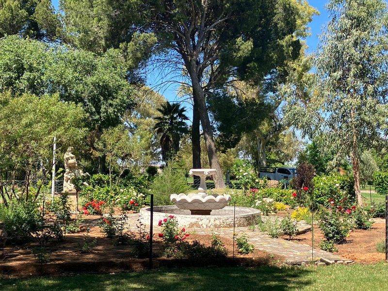 A lush garden area featuring a central stone fountain, mature trees, and established rose beds with a stone-paved pathway.