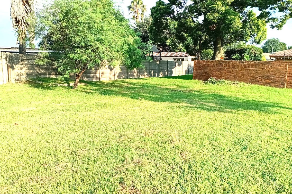 A spacious, level residential plot featuring established trees and perimeter boundary walls, offering a blank canvas for future development.