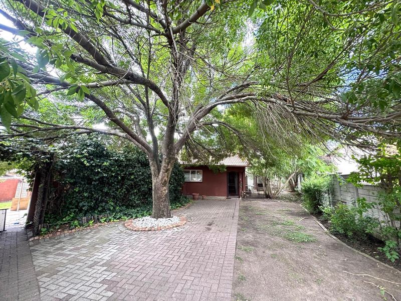 Front exterior view of the property featuring a paved driveway, mature tree, and boundary wall, providing a private entrance area.
