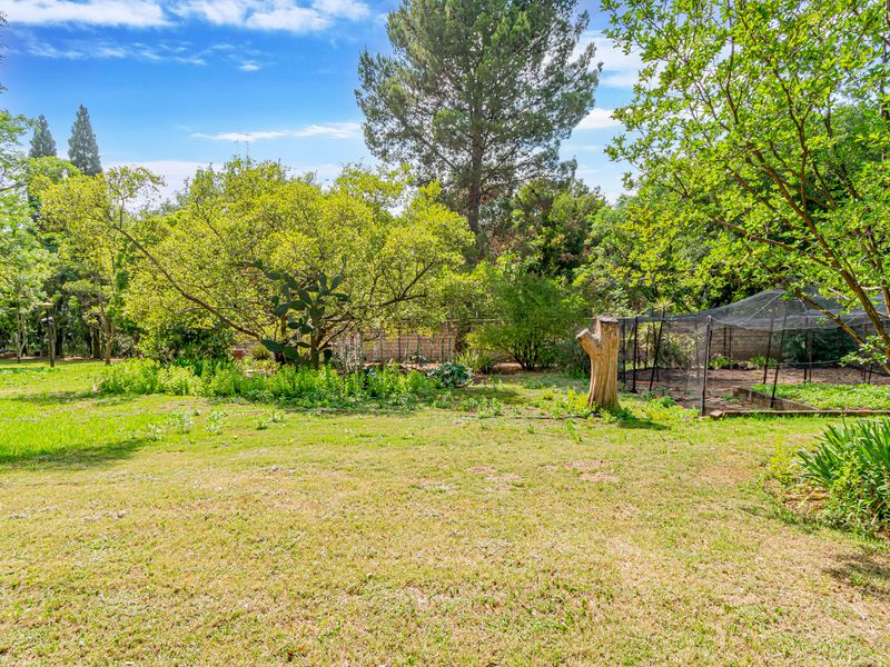A spacious, established garden featuring mature trees, open lawn areas, and a netted vegetable patch, enclosed by a brick boundary wall.