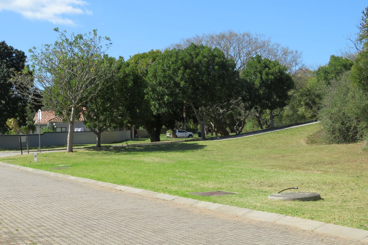 Beautiful Level Plot on the RIverview Waterfront Estate, Port Alfred. - Photo 2