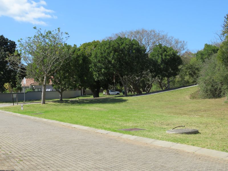 Beautiful Level Plot on the RIverview Waterfront Estate, Port Alfred. - Photo 2