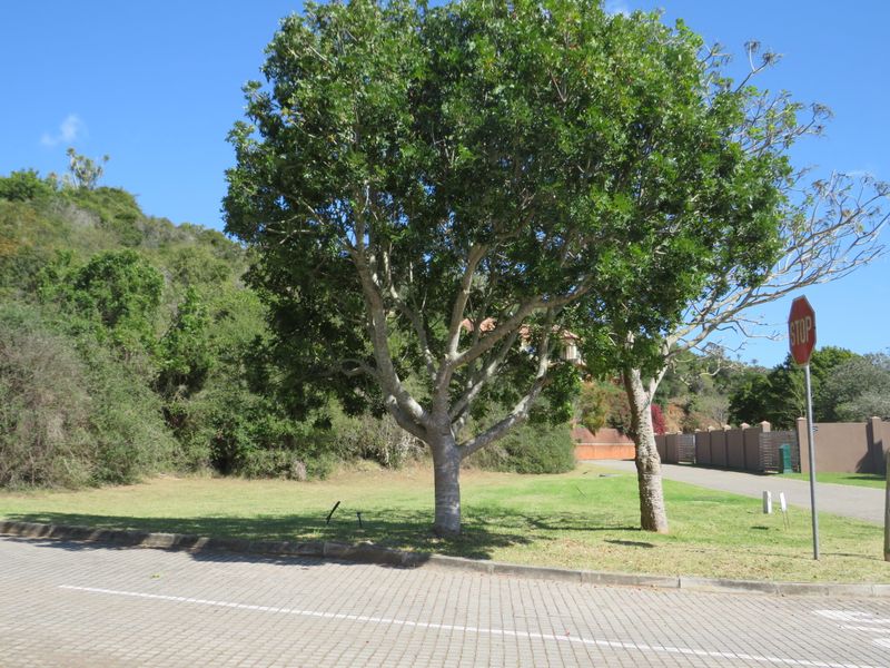 Beautiful Level Plot on the RIverview Waterfront Estate, Port Alfred. - Photo 7