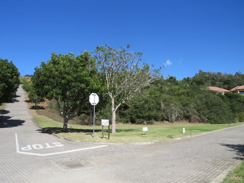 Beautiful Level Plot on the RIverview Waterfront Estate, Port Alfred. - Photo 6
