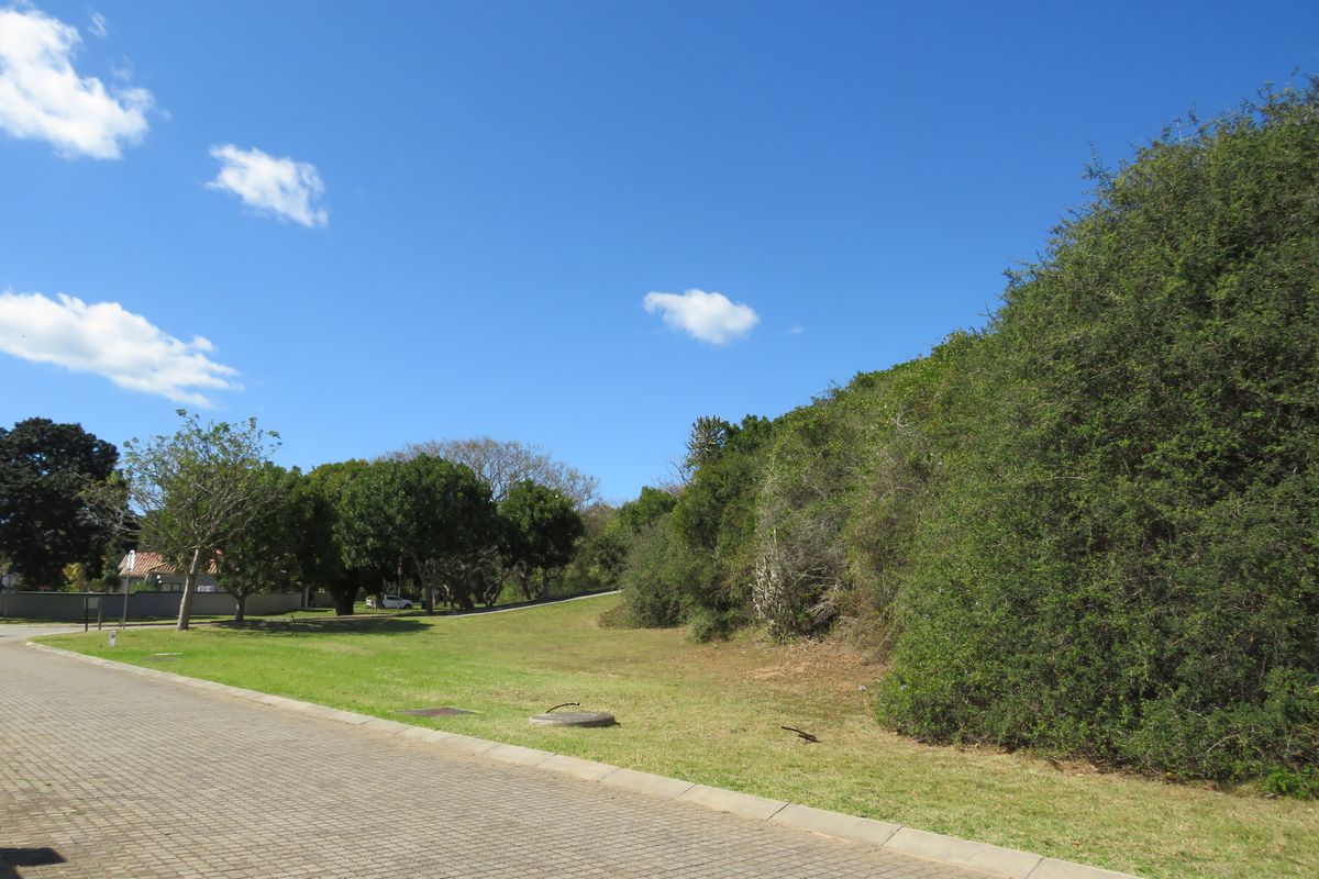 Beautiful Level Plot on the RIverview Waterfront Estate, Port Alfred. - Photo 4