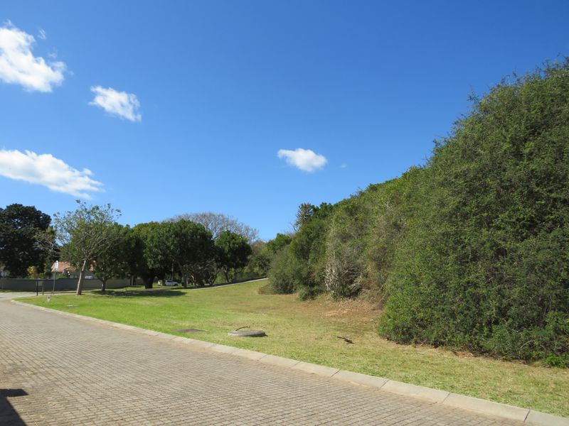 Beautiful Level Plot on the RIverview Waterfront Estate, Port Alfred. - Photo 4