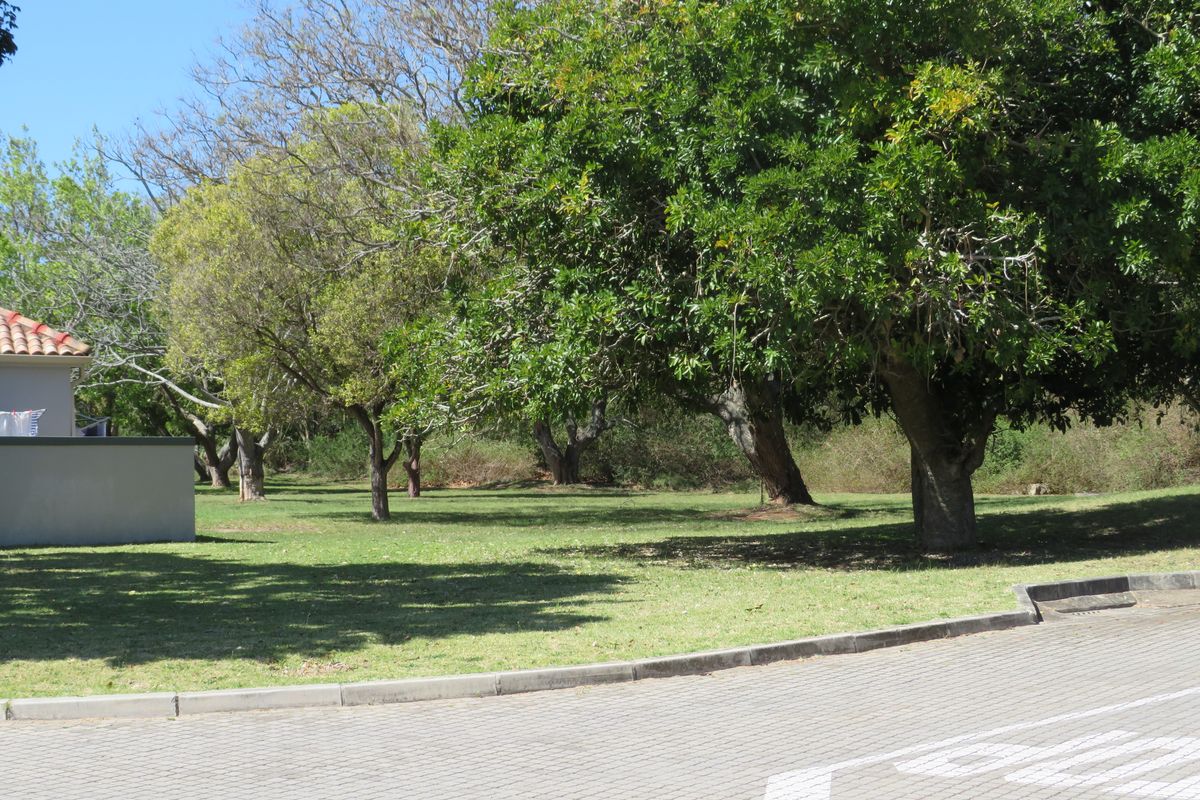 Beautiful Level Plot on the RIverview Waterfront Estate, Port Alfred. - Photo 3