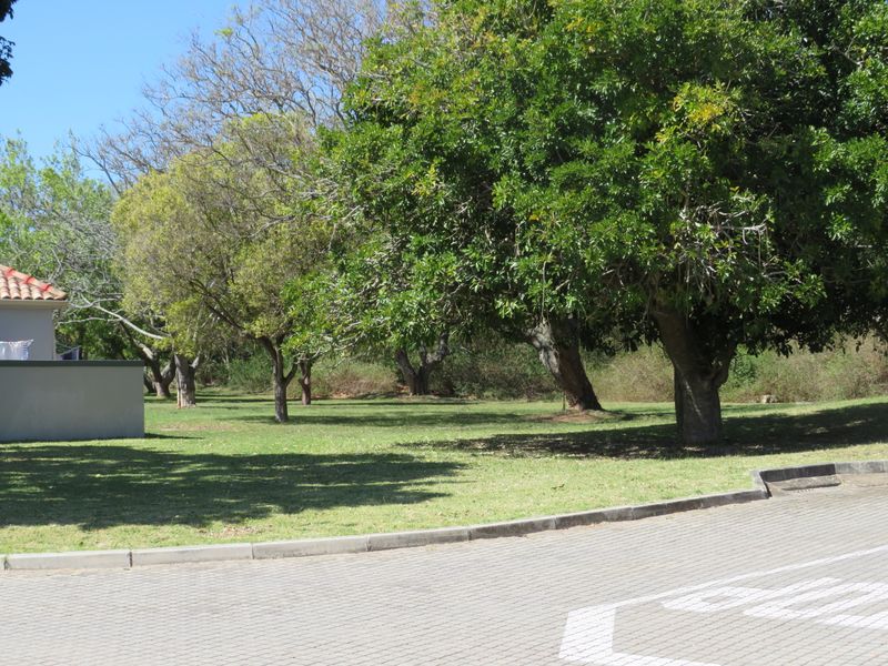 Beautiful Level Plot on the RIverview Waterfront Estate, Port Alfred. - Photo 3