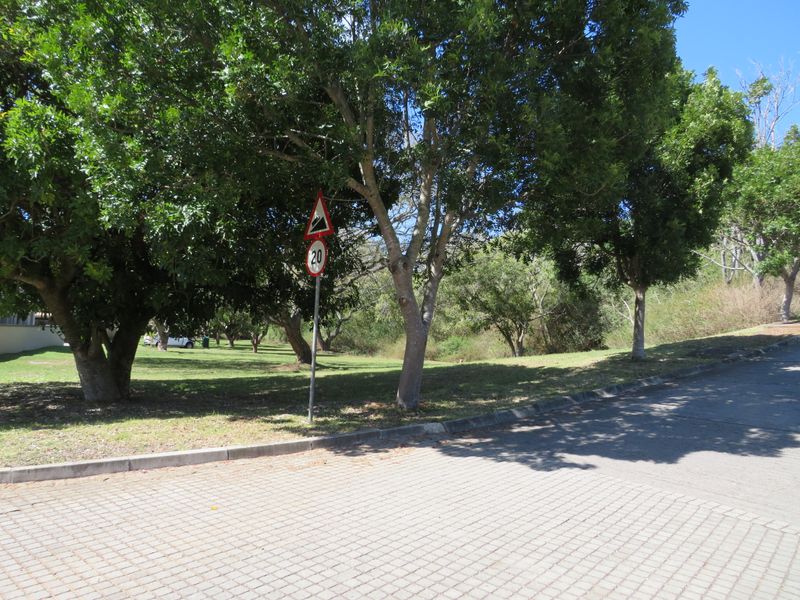 Beautiful Level Plot on the RIverview Waterfront Estate, Port Alfred. - Photo 7