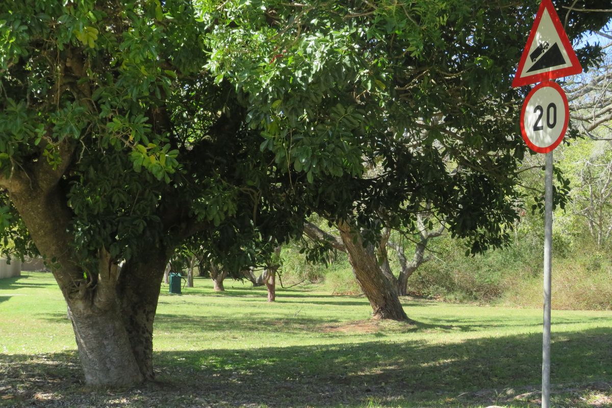 Beautiful Level Plot on the RIverview Waterfront Estate, Port Alfred. - Photo 4