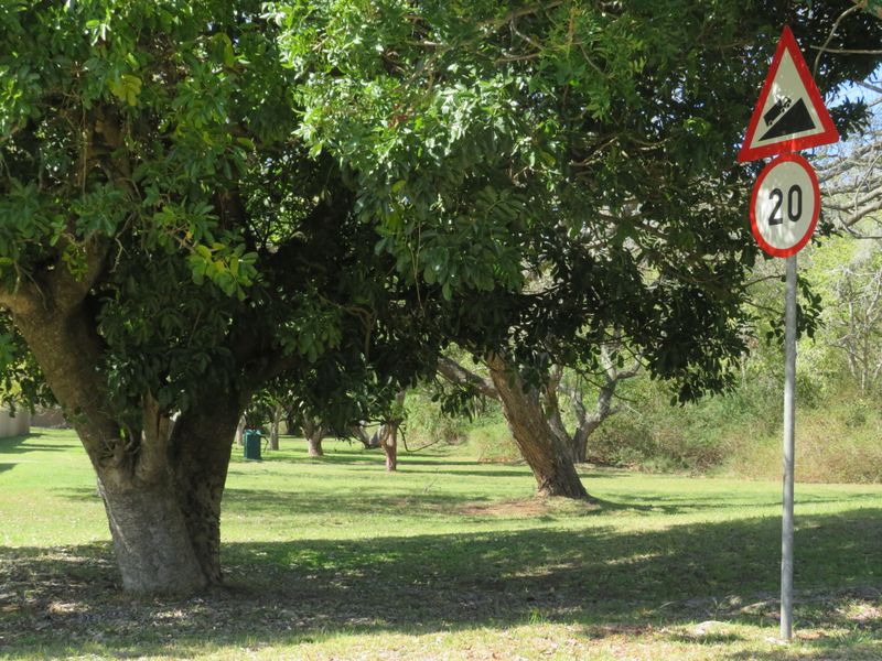 Beautiful Level Plot on the RIverview Waterfront Estate, Port Alfred. - Photo 4