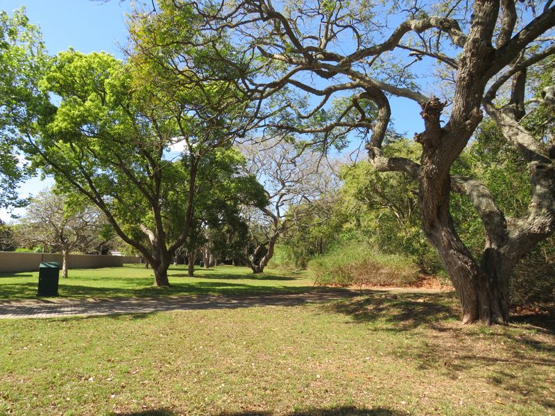Stunning Plot Situated in the Eco Estate of the Upmarket Riverview Waterfront Estate, Port Alfred - Photo 4