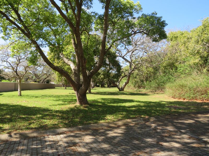 Stunning Plot Situated in the Eco Estate of the Upmarket Riverview Waterfront Estate, Port Alfred - Photo 5