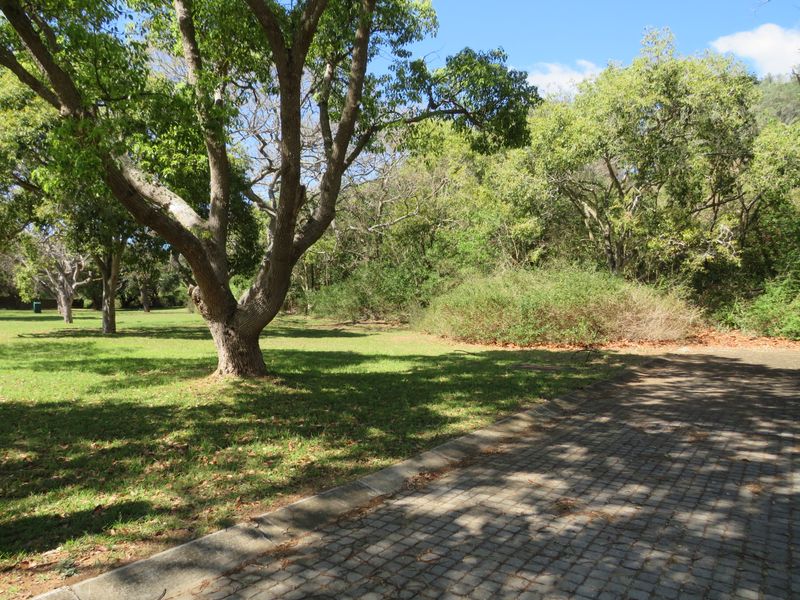 Stunning Plot Situated in the Eco Estate of the Upmarket Riverview Waterfront Estate, Port Alfred - Photo 3