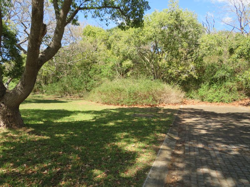 Stunning Plot Situated in the Eco Estate of the Upmarket Riverview Waterfront Estate, Port Alfred - Photo 9