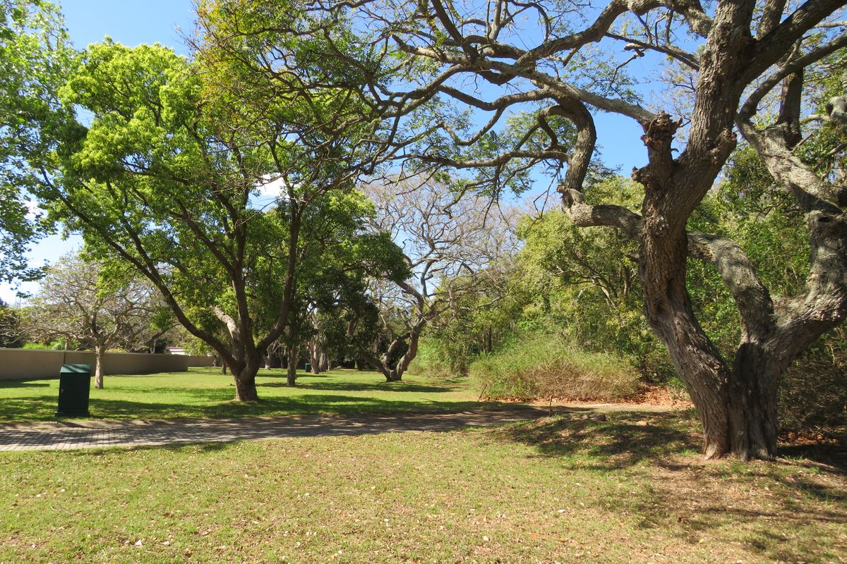 Beautiful Level Plot on the Riverview Waterfront Estate, Port Alfred - Photo 3