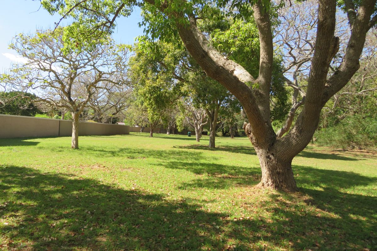 Beautiful Level Plot on the Riverview Waterfront Estate, Port Alfred - Photo 5