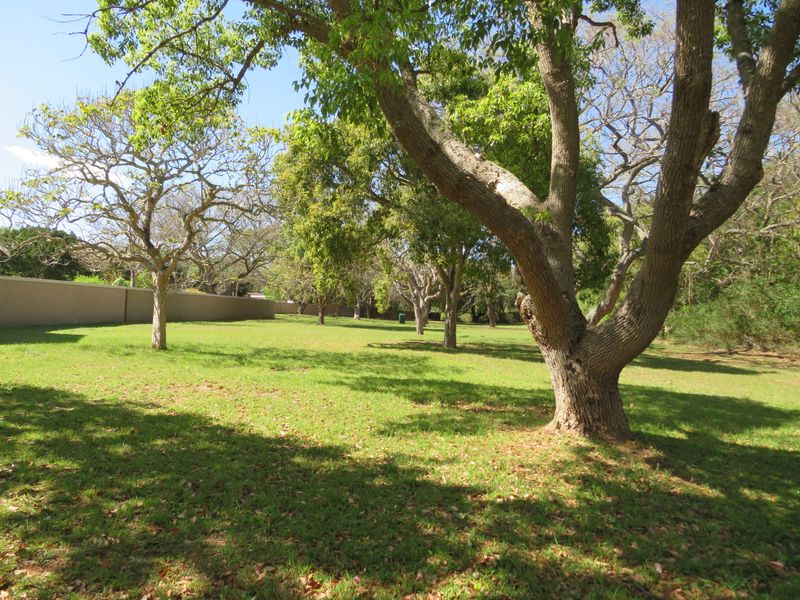 Beautiful Level Plot on the Riverview Waterfront Estate, Port Alfred - Photo 5