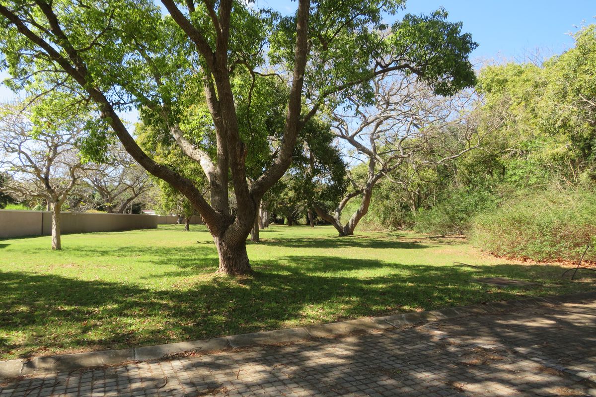 Beautiful Level Plot on the Riverview Waterfront Estate, Port Alfred - Photo 2