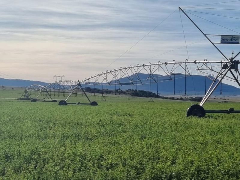 Queenstown Farm - A Pristine Agricultural Opportunity - Photo 3