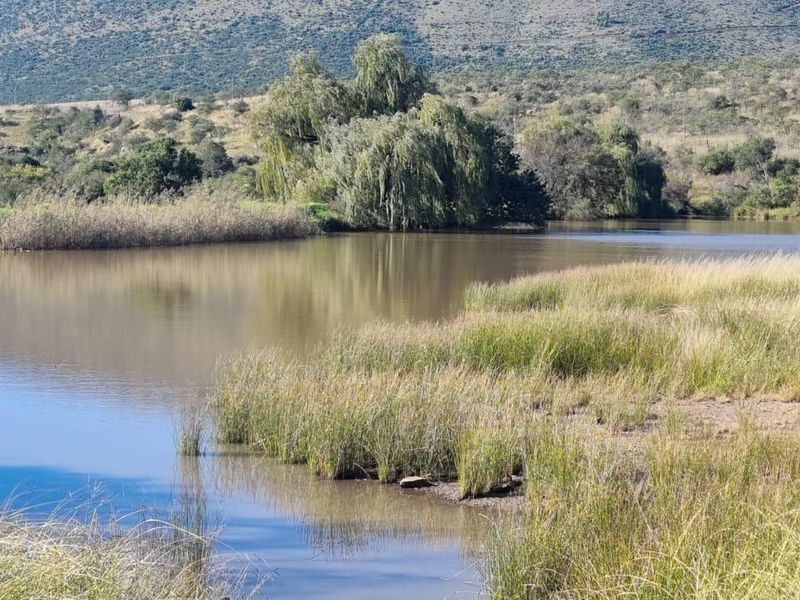 Queenstown Farm - A Pristine Agricultural Opportunity - Photo 2
