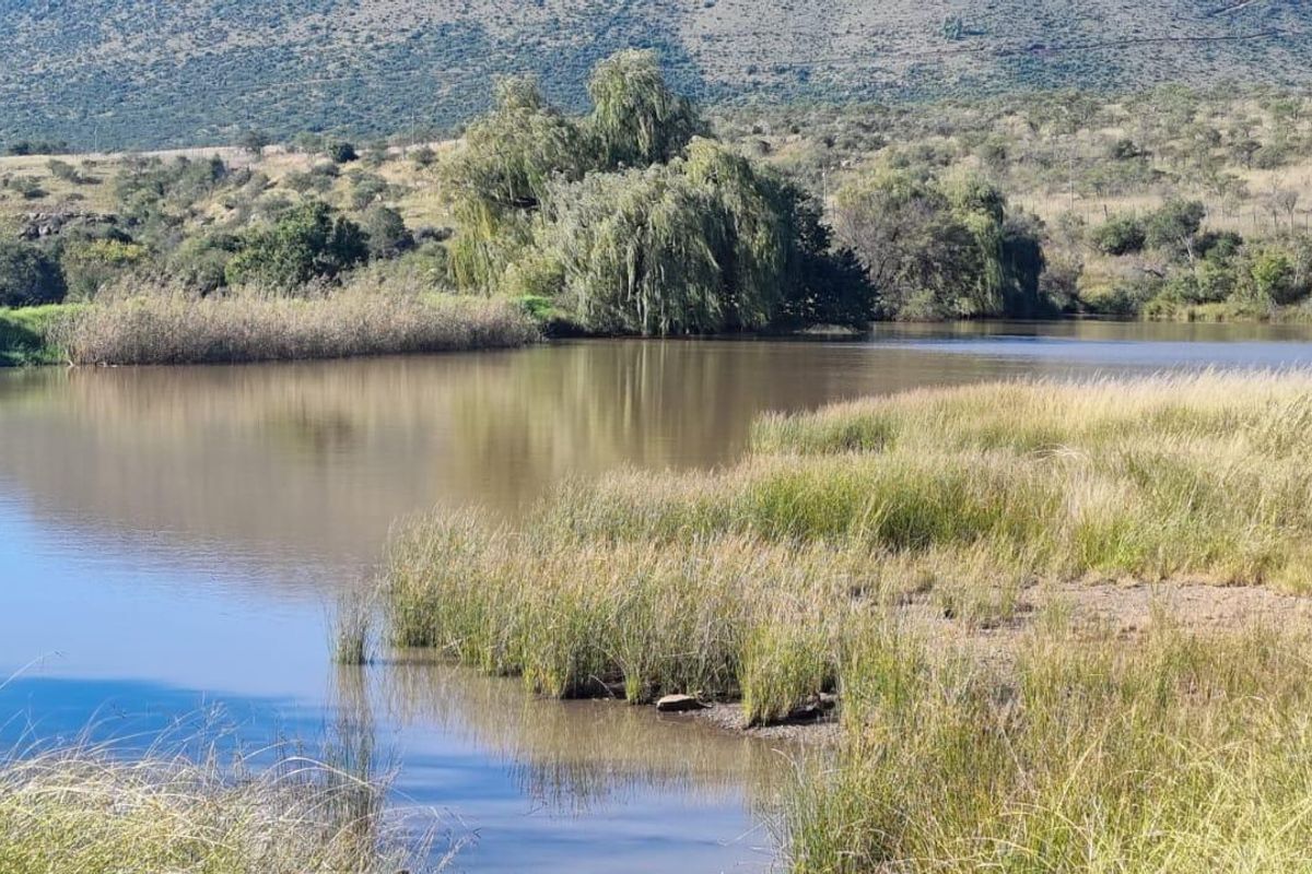 Queenstown Farm - A Pristine Agricultural Opportunity - Photo 2