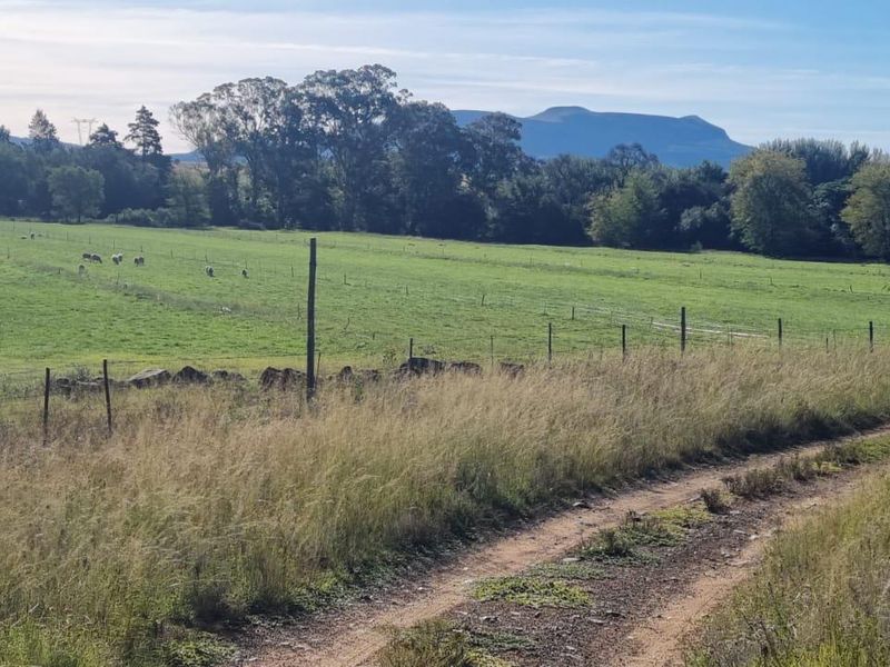 Queenstown Farm - A Pristine Agricultural Opportunity - Photo 10