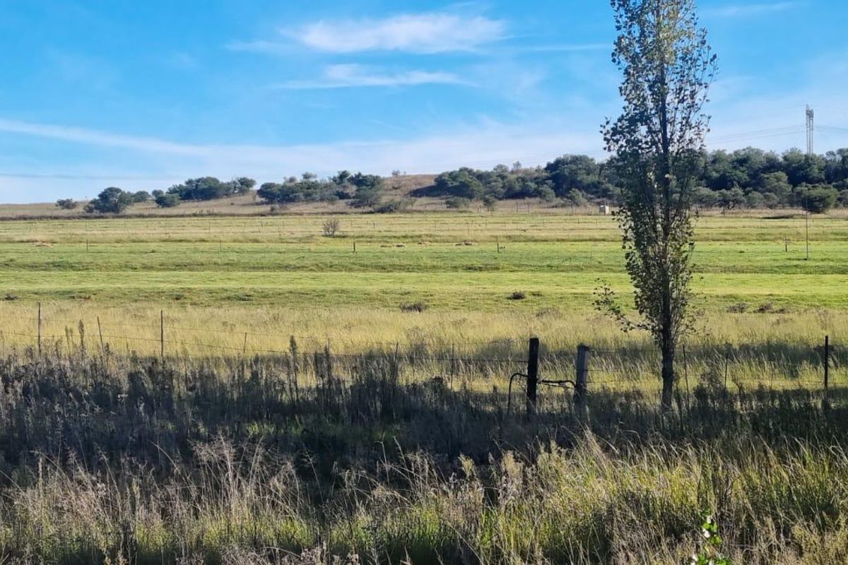 Queenstown Farm - A Pristine Agricultural Opportunity - Photo 4