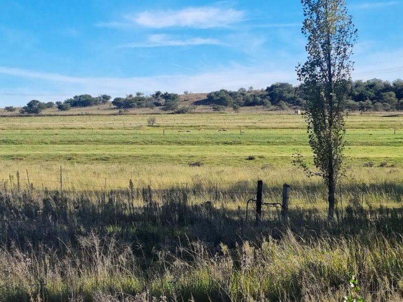 Queenstown Farm - A Pristine Agricultural Opportunity - Photo 4