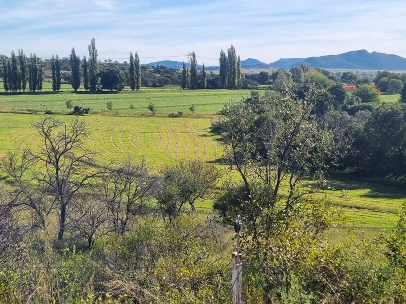 Queenstown Farm - A Pristine Agricultural Opportunity - Photo 7
