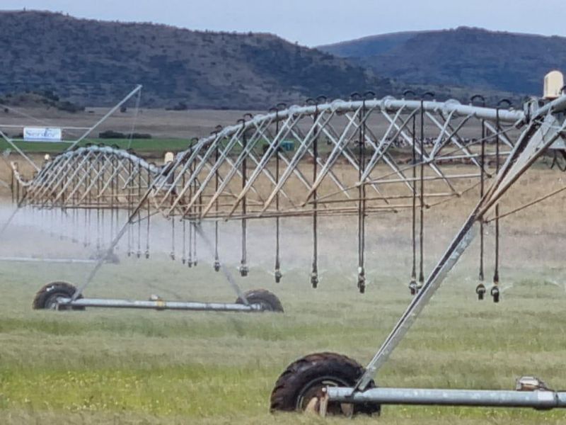 Queenstown Farm - A Pristine Agricultural Opportunity - Photo 8