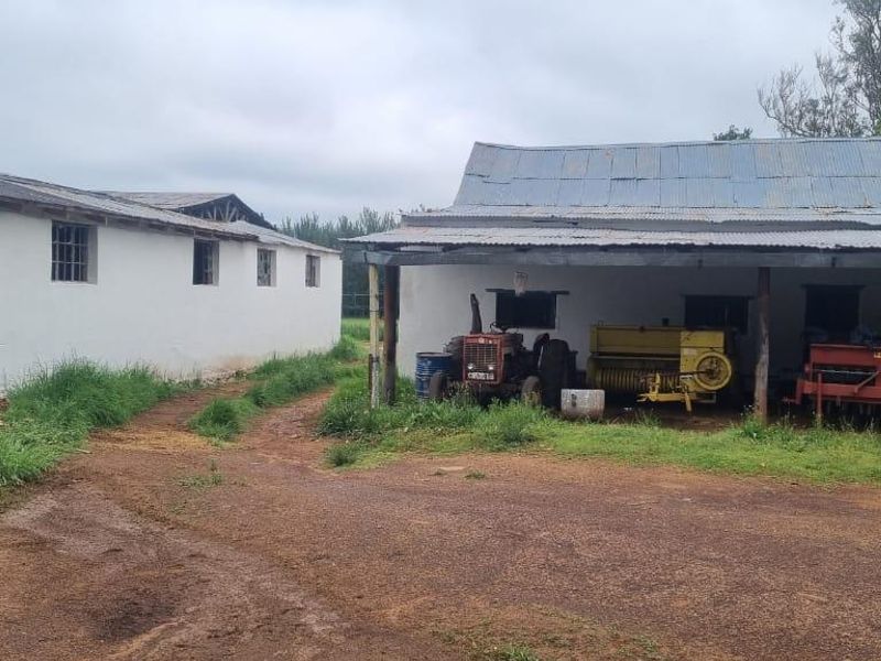 Queenstown Farm - A Pristine Agricultural Opportunity - Photo 6
