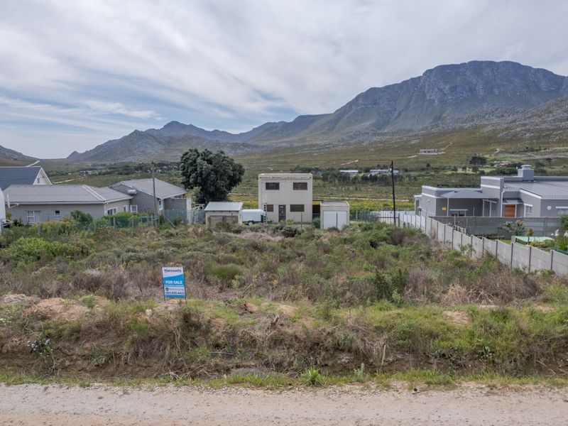 Layers of Mountain Magic: Well-Priced Plot For Sale in Pringle Bay - Photo 5