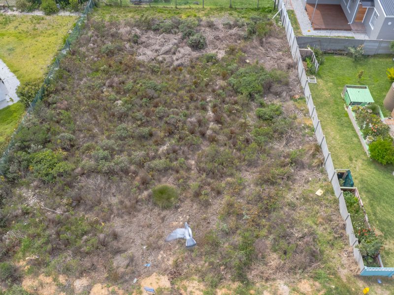 Layers of Mountain Magic: Well-Priced Plot For Sale in Pringle Bay - Photo 9