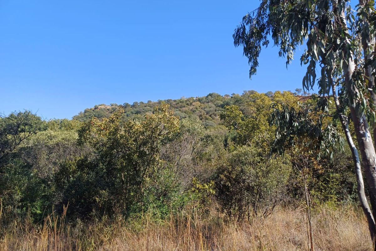 Nestled in Nature - Virgin Land - Photo 3