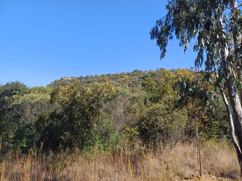 Nestled in Nature - Virgin Land - Photo 3