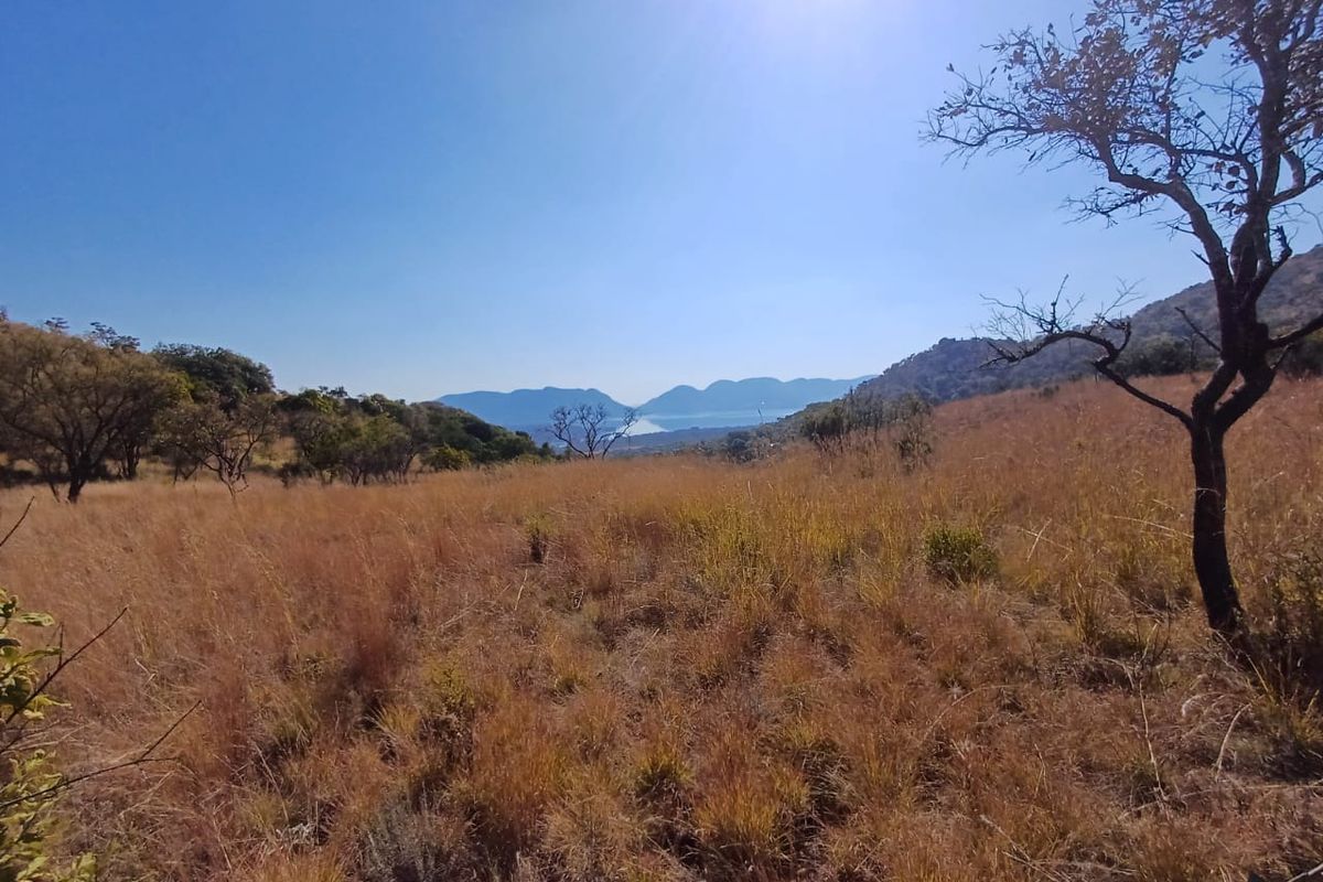 Nestled in Nature - Virgin Land - Photo 4