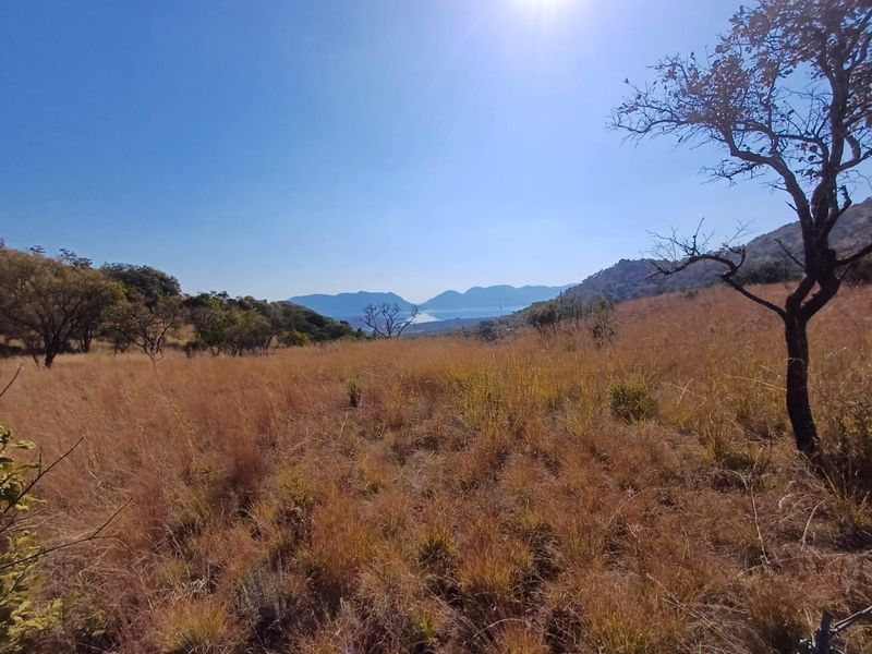 Nestled in Nature - Virgin Land - Photo 4