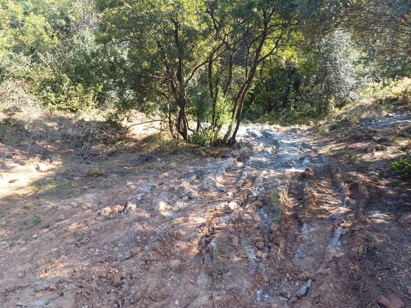 Nestled in Nature - Virgin Land - Photo 10