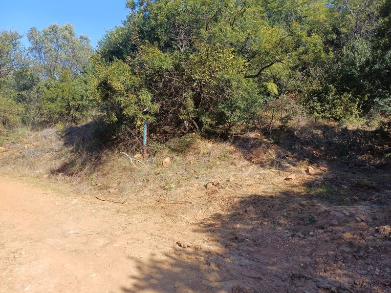 Nestled in Nature - Virgin Land - Photo 8