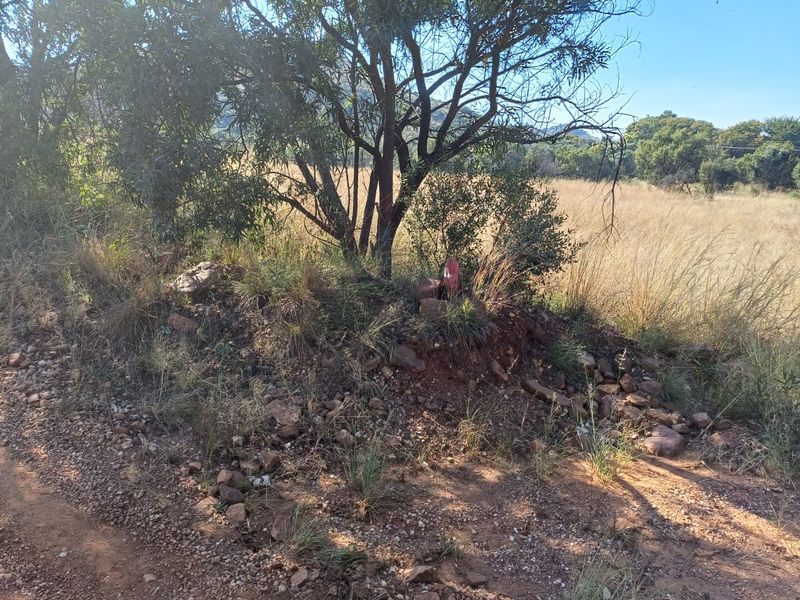 Nestled in Nature - Virgin Land - Photo 6