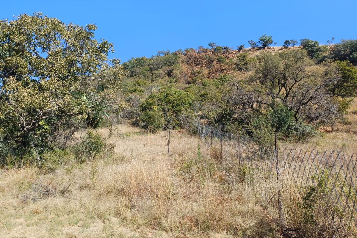 Nestled in Nature - Virgin Land - Photo 5