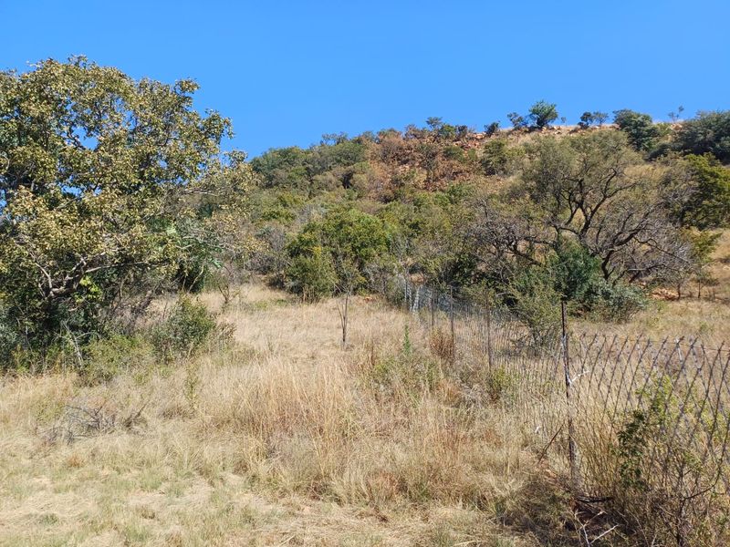 Nestled in Nature - Virgin Land - Photo 5