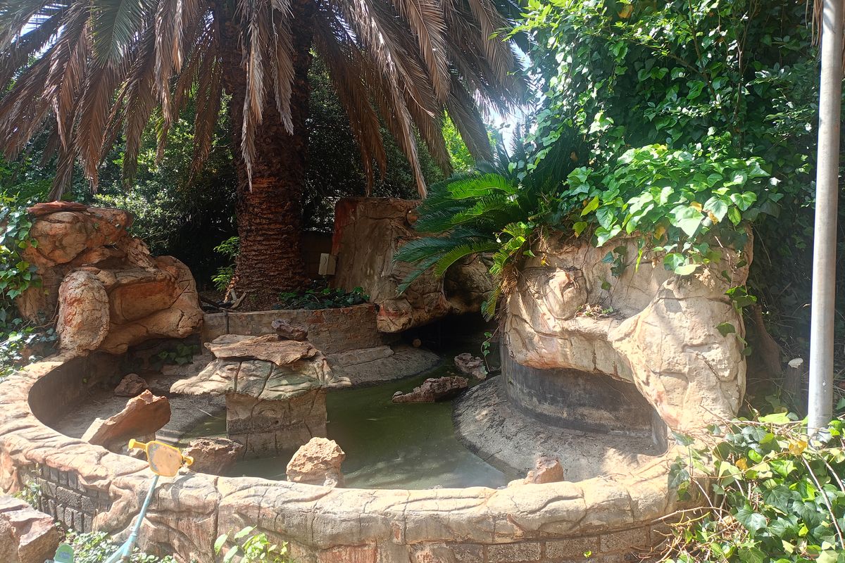 Renovation in progress -The perfect family home for your start up family - Photo 5