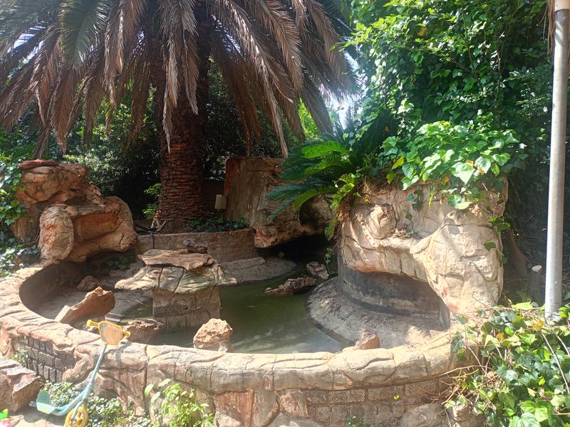 Renovation in progress -The perfect family home for your start up family - Photo 5