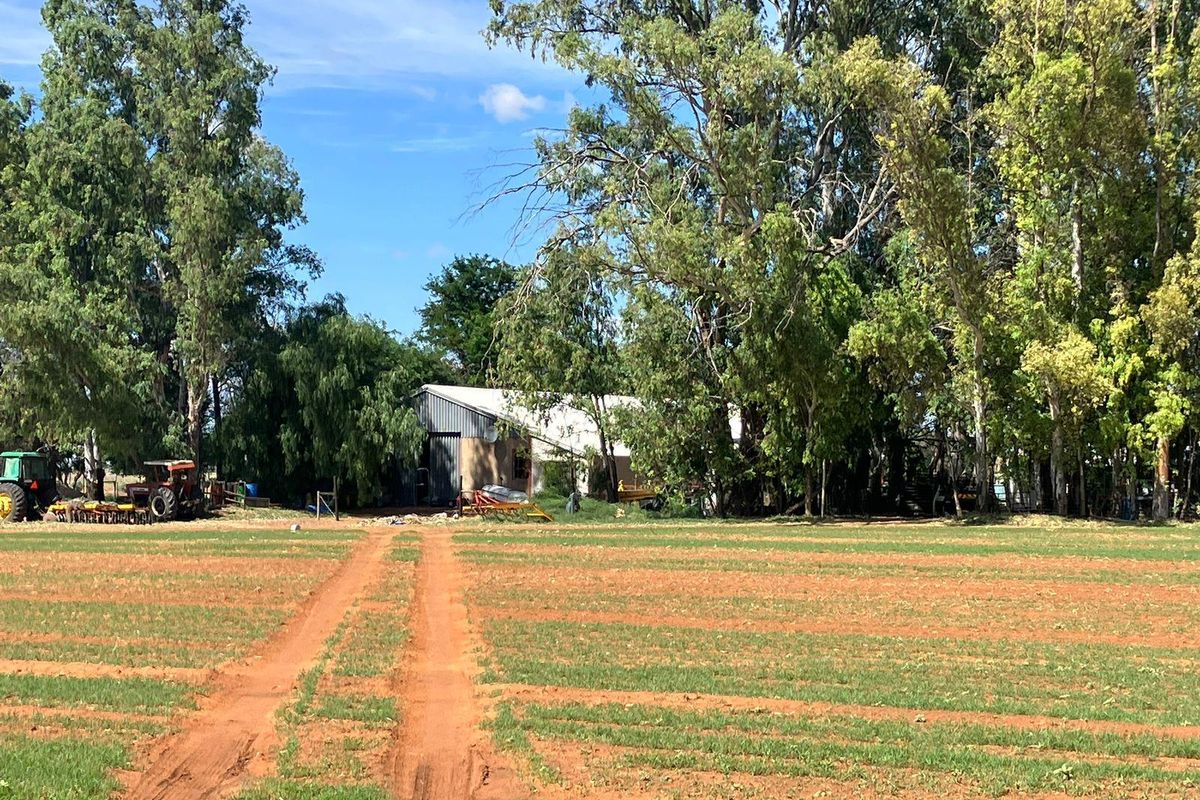 A view of the farm property featuring open fields, mature trees, and a large metal-clad agricultural shed in the distance.
